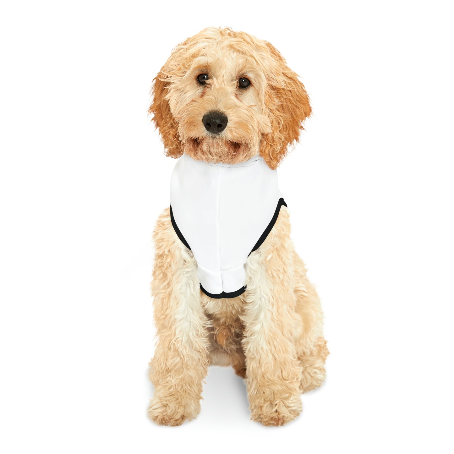 Dog Hoodie