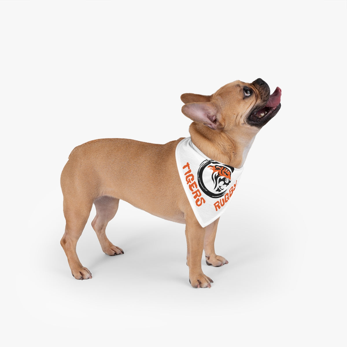 Pet Bandana